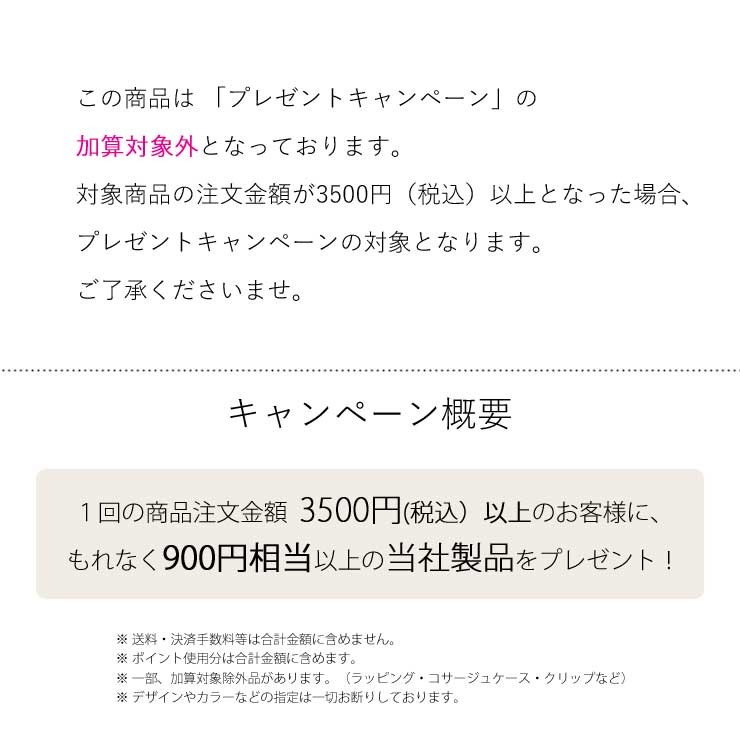 透明 ケース クリア ギフト ボックス 箱 ラッピング コサージュ 透明 ケース クリア ギフト ボックス 箱 ラッピング コサージュ