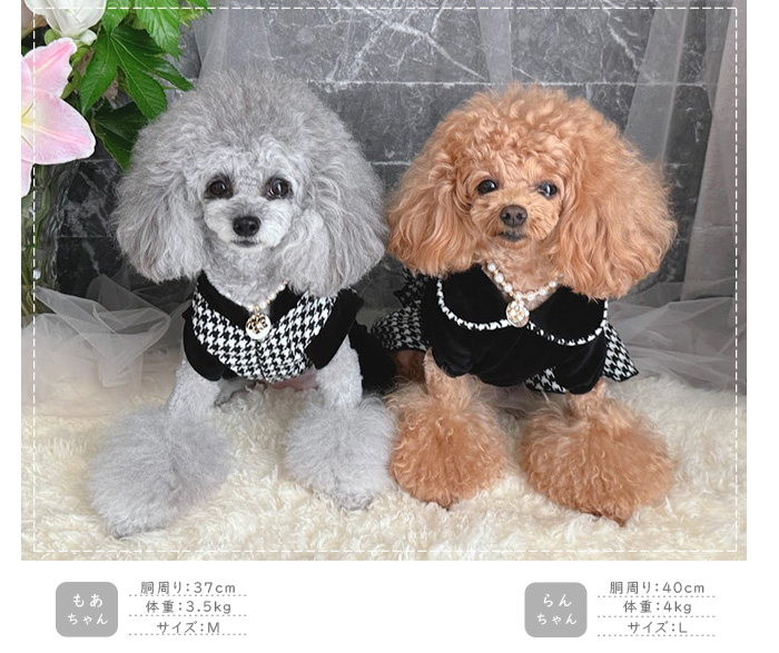 kamakuradog（鎌倉DOG） 千鳥柄ワンピース＆つなぎ 犬 服 : 鎌倉DOG