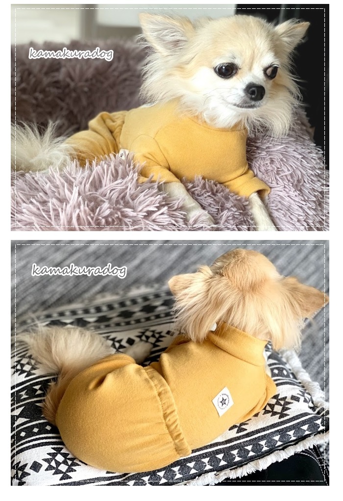 kamakuradog（鎌倉DOG） バルーンヒップつなぎ 犬の服 : 鎌倉DOG Yahoo