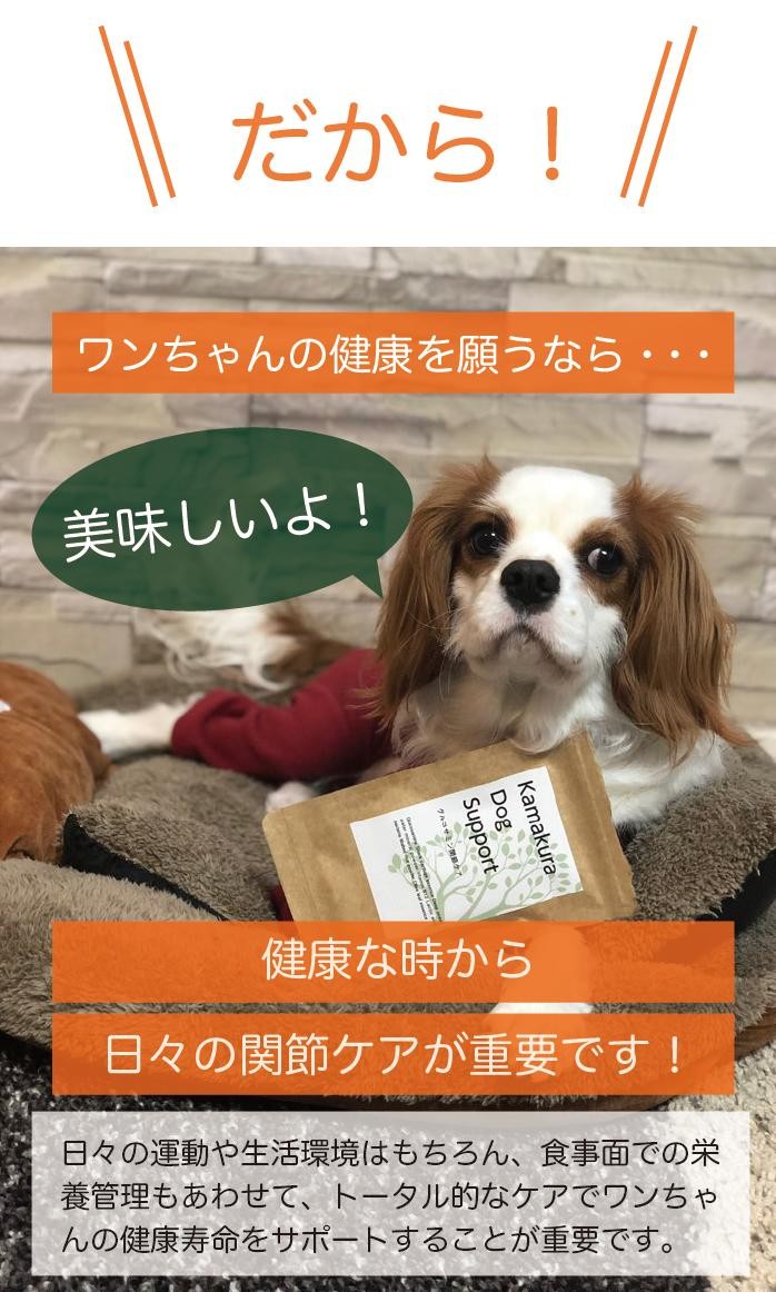 健康な時から日々の関節ケアが重要です！
