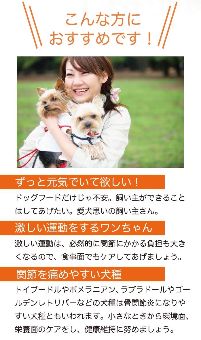 こんな方におすすめです！