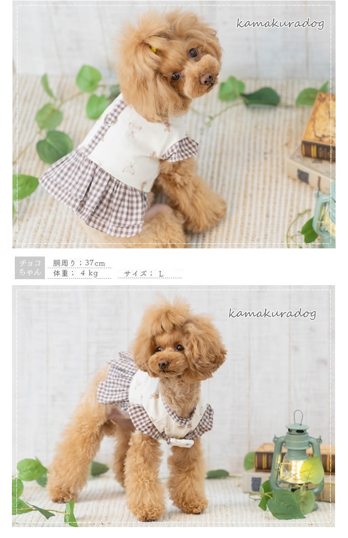 kamakuradog（鎌倉DOG） クラシックベア洋服型ハーネス 犬の服 : 鎌倉