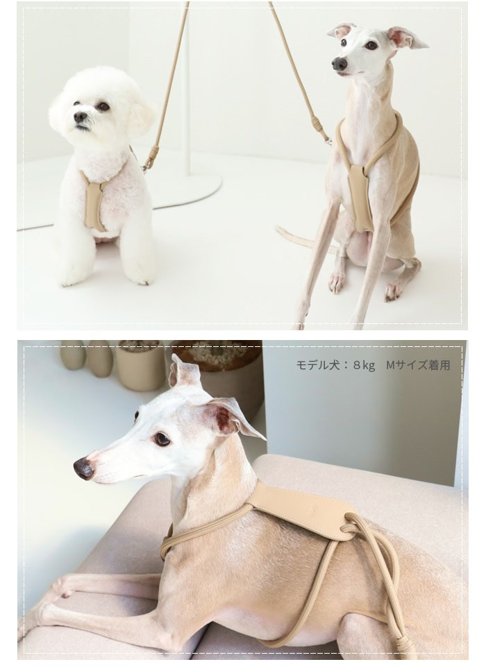 適切な価格 エッセンシャルハーネス 犬の服 | alphapublishing.com