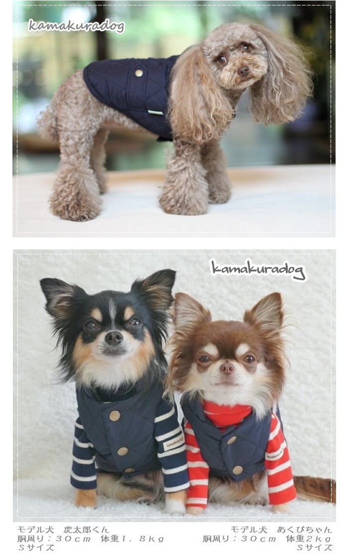 kamakuradog（鎌倉DOG） ネイビーベスト トイプードル 服 : 鎌倉DOG