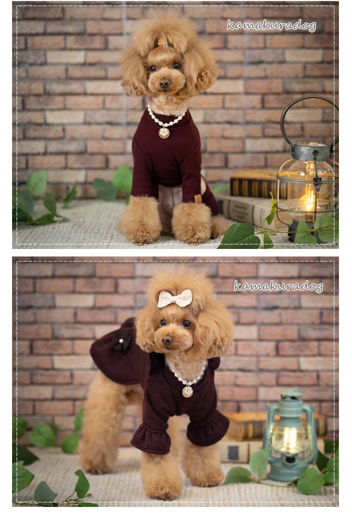 kamakuradog（鎌倉DOG） おでかけネックレス 犬のアクセサリー : 鎌倉