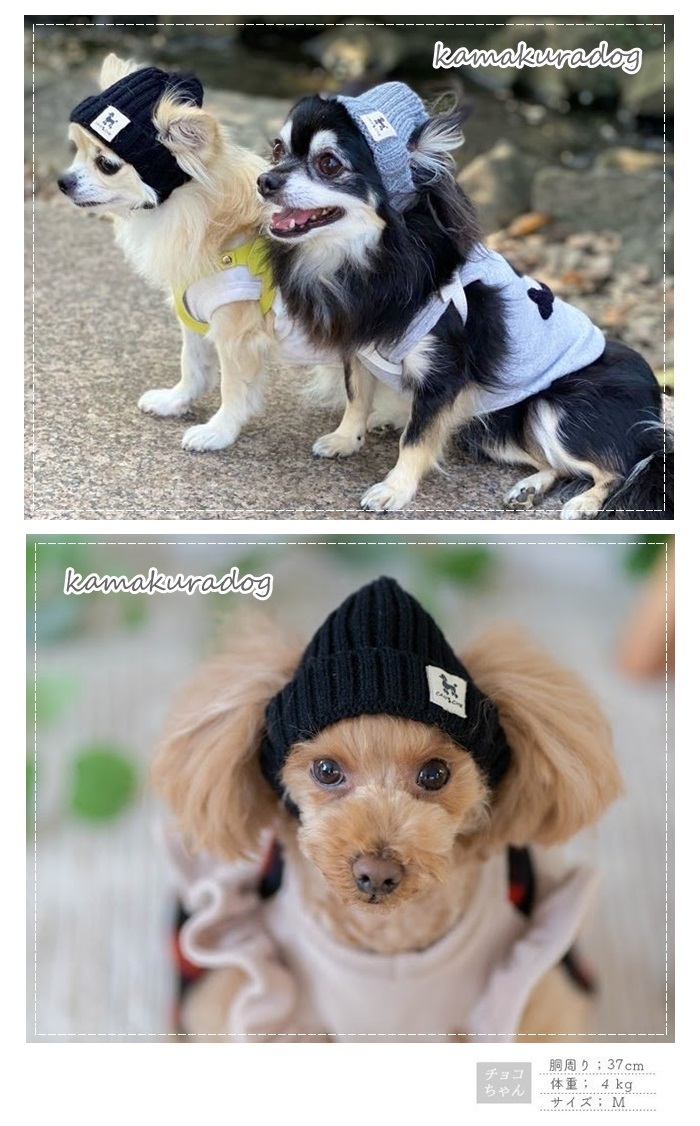 おそろいニット帽 犬の服 : n151 : 鎌倉DOG Yahoo!店 - 通販 - Yahoo