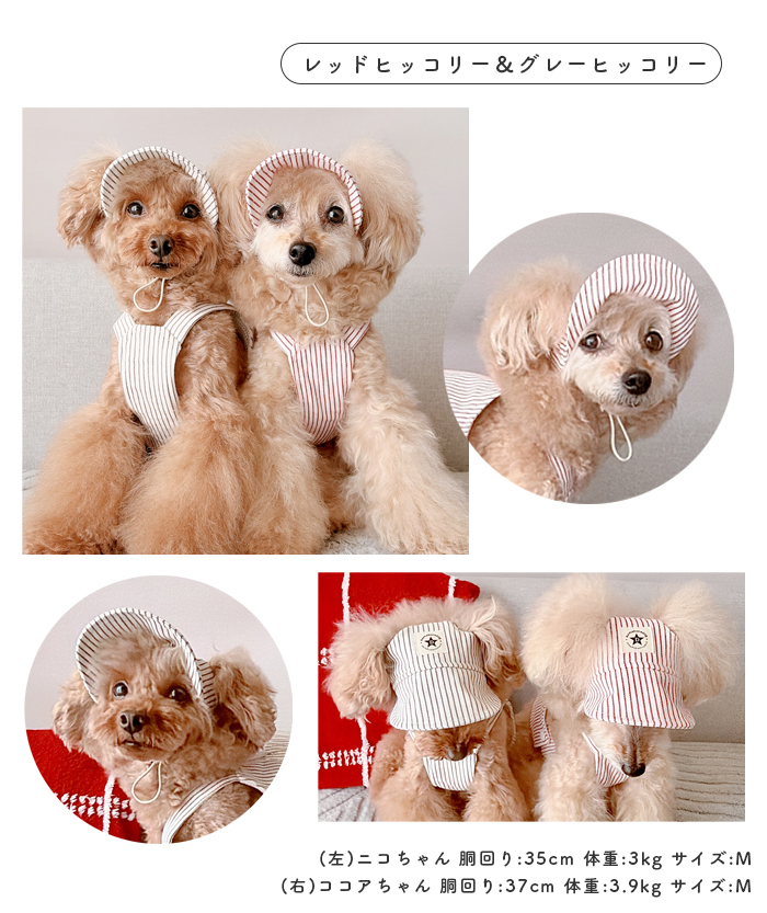 犬服ハンドメイド　キャップ kamakuradog（鎌倉DOG） デニム風キャップ 犬 服 夏 帽子 キャップ