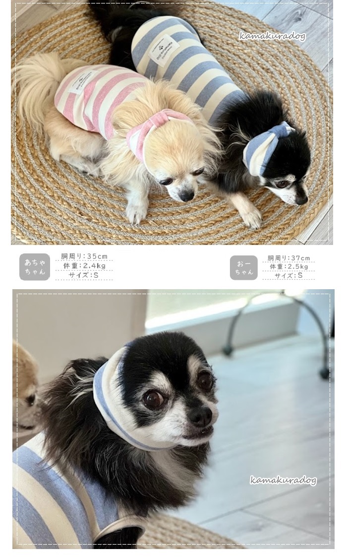 犬　か　ご　本 Amazon | K-Bom 犬 あごのせ枕 リバーシブル 2way 高さ調節 通気