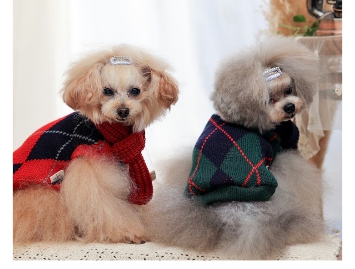 犬服ニット 楽天市場】犬服 小型犬 ニットプルオーバー 冬 暖かい セーター