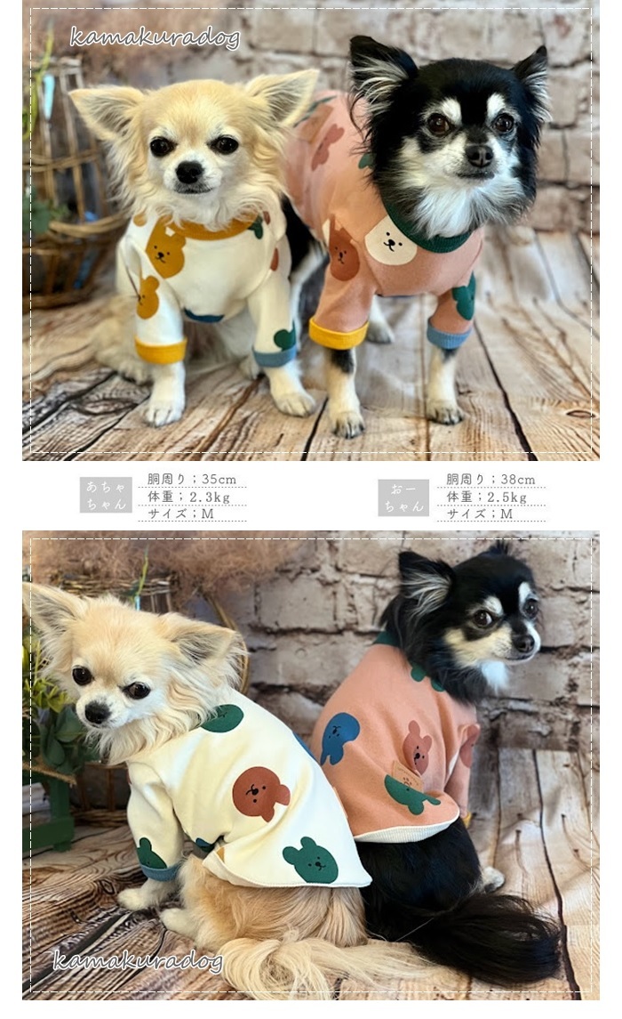 kamakuradog（鎌倉DOG） ランダムカラーくまちゃんトップス 犬の服