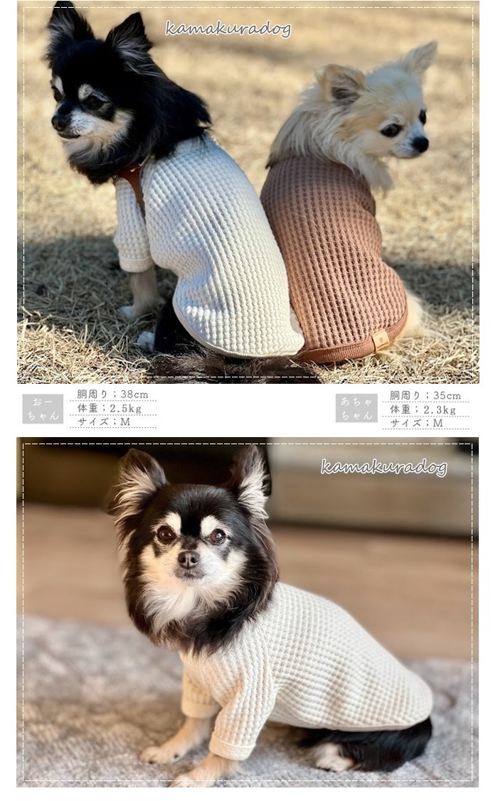 kamakuradog デイリーワッフルT 犬の服 : 鎌倉DOG Yahoo!店