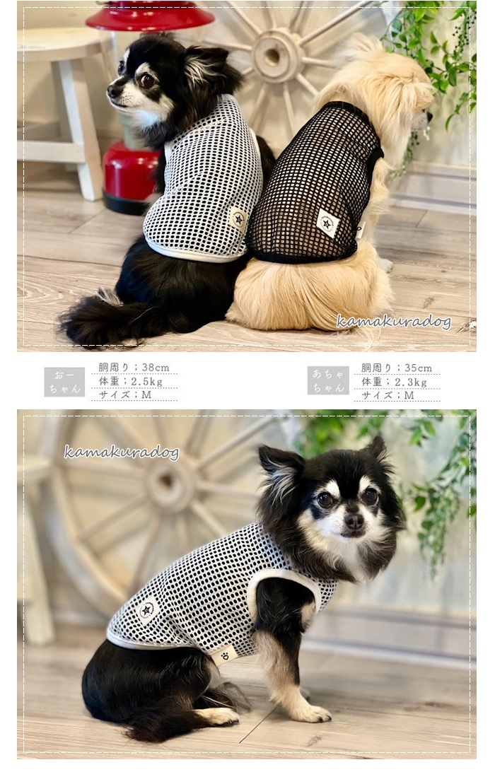 ドライメッシュタンク 犬の服 : t1090 : 鎌倉DOG Yahoo!店 - 通販