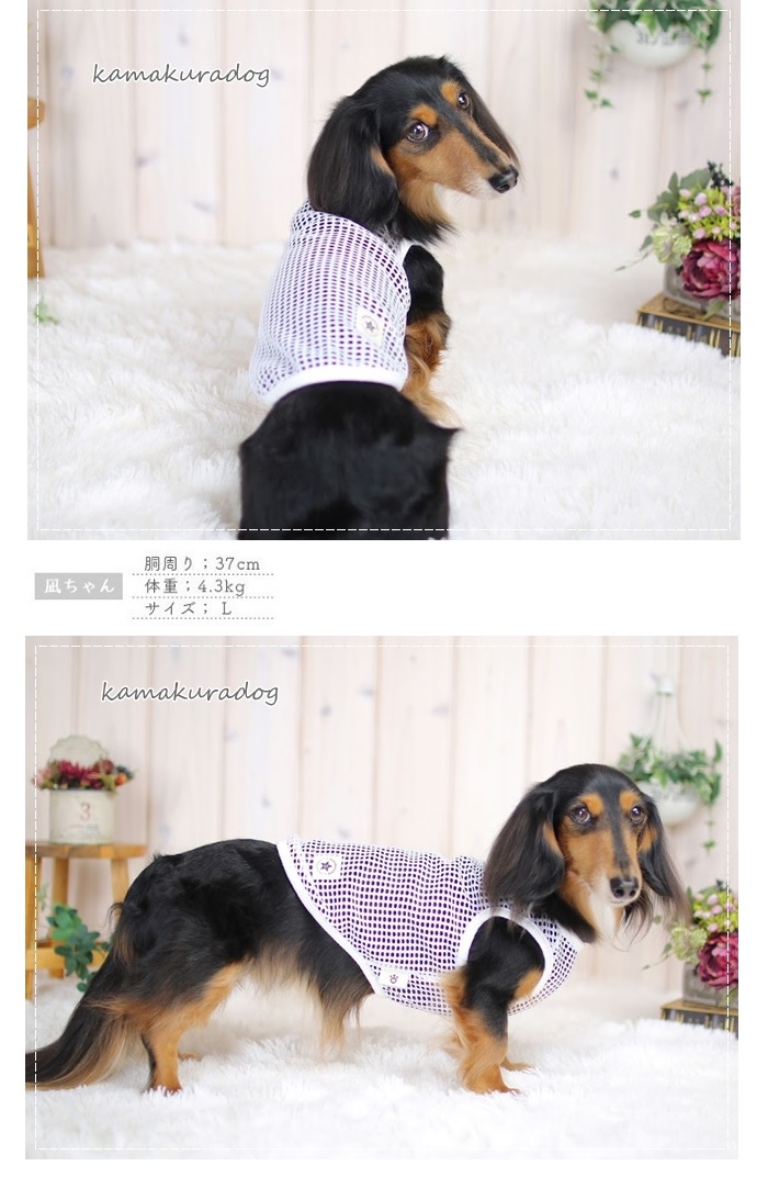 kamakuradog ドライメッシュタンク 犬の服 : 鎌倉DOG Yahoo!店 - 通販