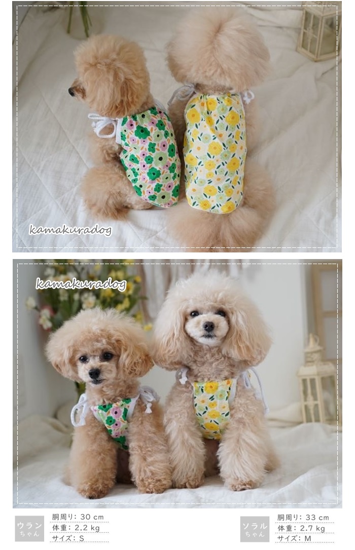 kamakuradog（鎌倉DOG） 爆買 アートフラワーキャミ 犬の服 : 鎌倉DOG