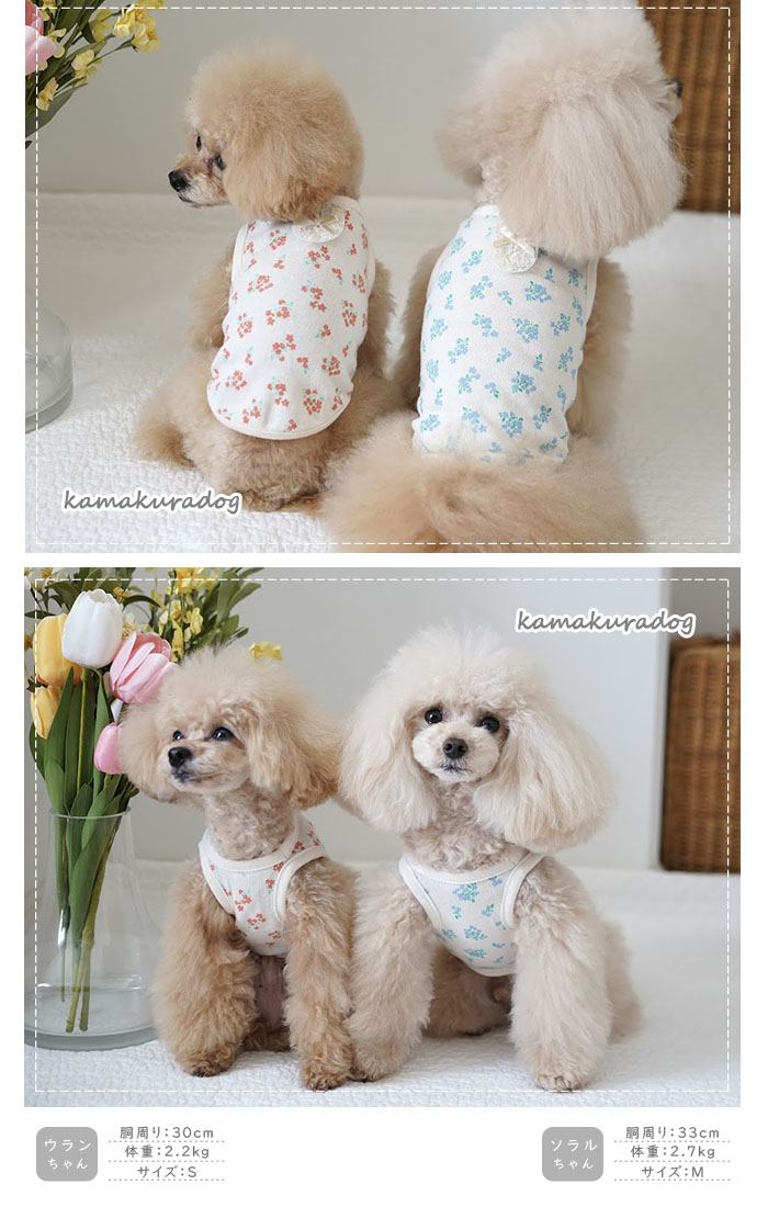 kamakuradog（鎌倉DOG） 春風ガーゼタンクトップ 犬の服 : 鎌倉DOG