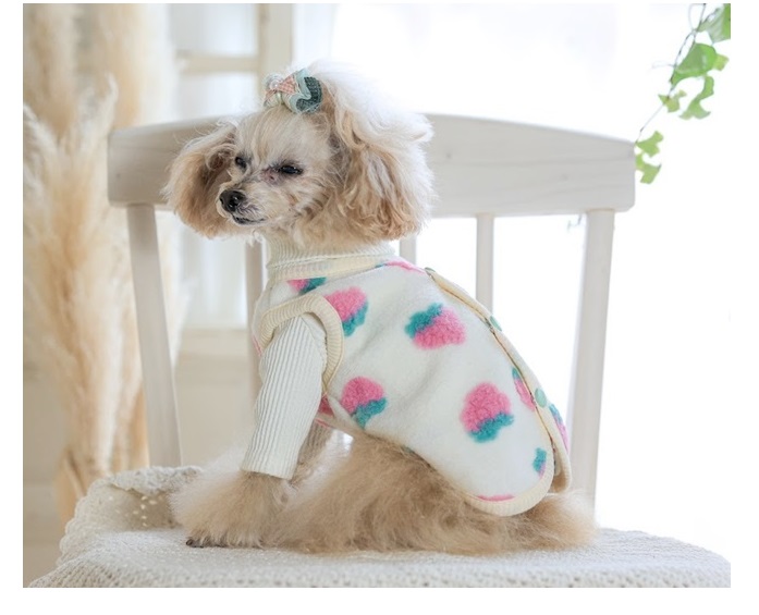 kamakuradog（鎌倉DOG） ふっくらお花＆いちごベスト 犬の服 : 鎌倉DOG