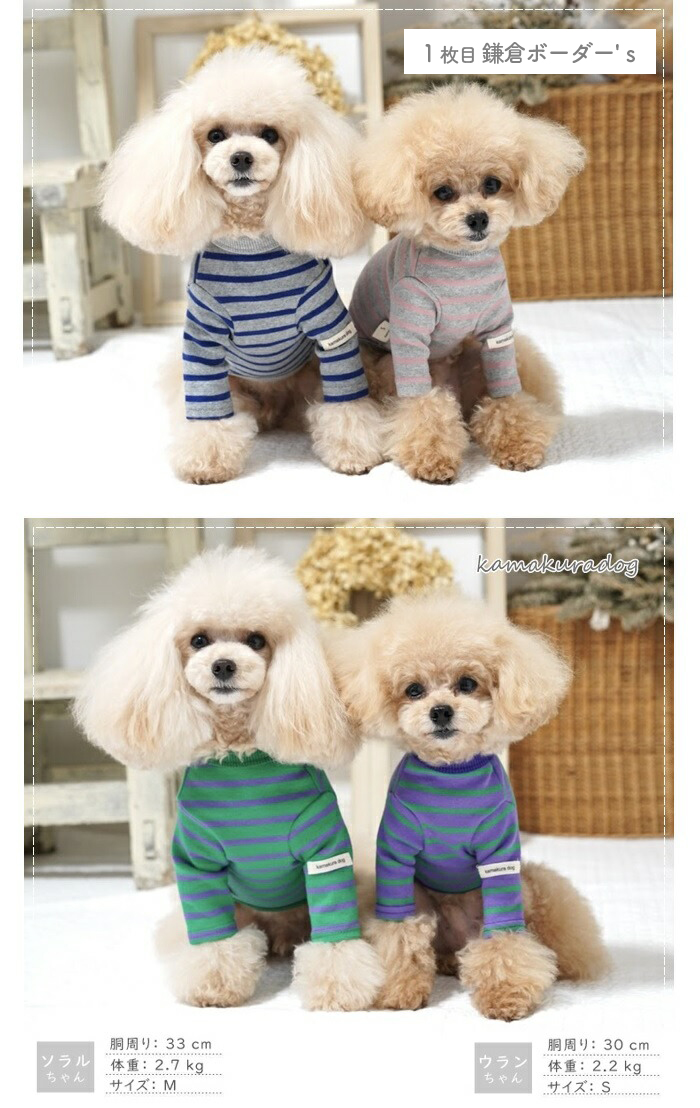 kamakuradog（鎌倉DOG） 全サイズ対象・選べる4点福袋 犬の服 : 鎌倉