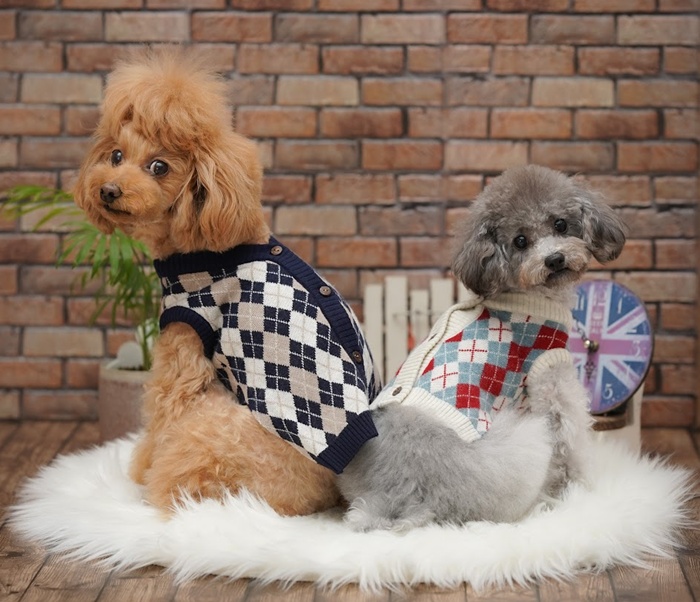 kamakuradog（鎌倉DOG） ブリティッシュベスト 犬の服 : 鎌倉DOG Yahoo