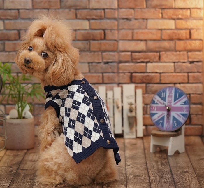 kamakuradog（鎌倉DOG） ブリティッシュベスト 犬の服 : 鎌倉DOG Yahoo