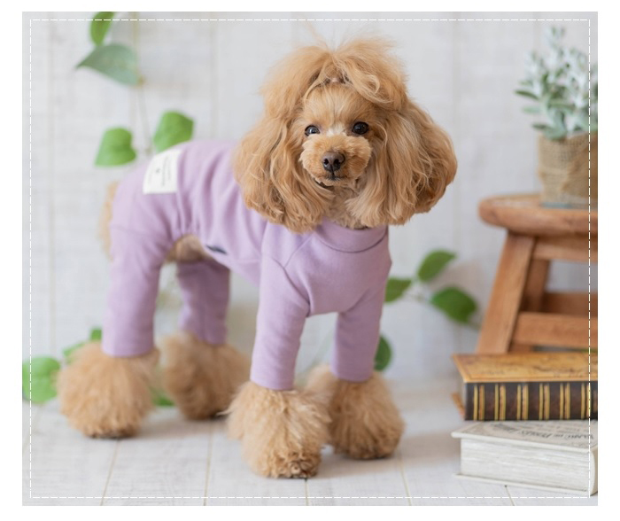 いぬのふぐり 海外犬服 高品質なインポートのドッグウェア通販 