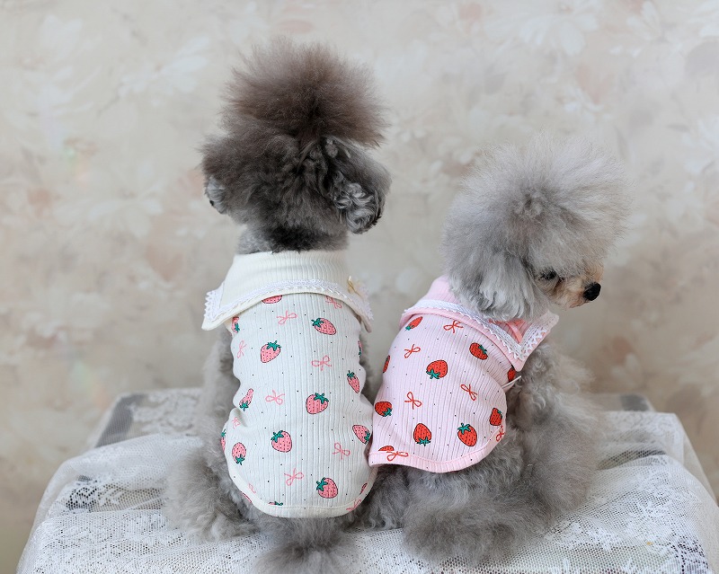 犬服 ベリーベリーの商品一覧 通販 - Yahoo!ショッピング