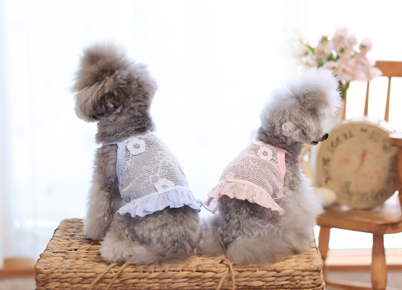 kamakuradog（鎌倉DOG） メッシュフラワーショート丈キャミワンピ 犬服