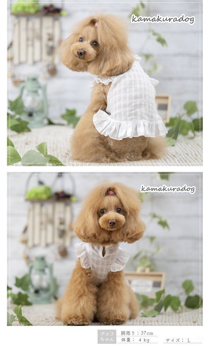 シースルーブラウス 犬の服 :t841:鎌倉DOG Yahoo!店 - 通販 - Yahoo