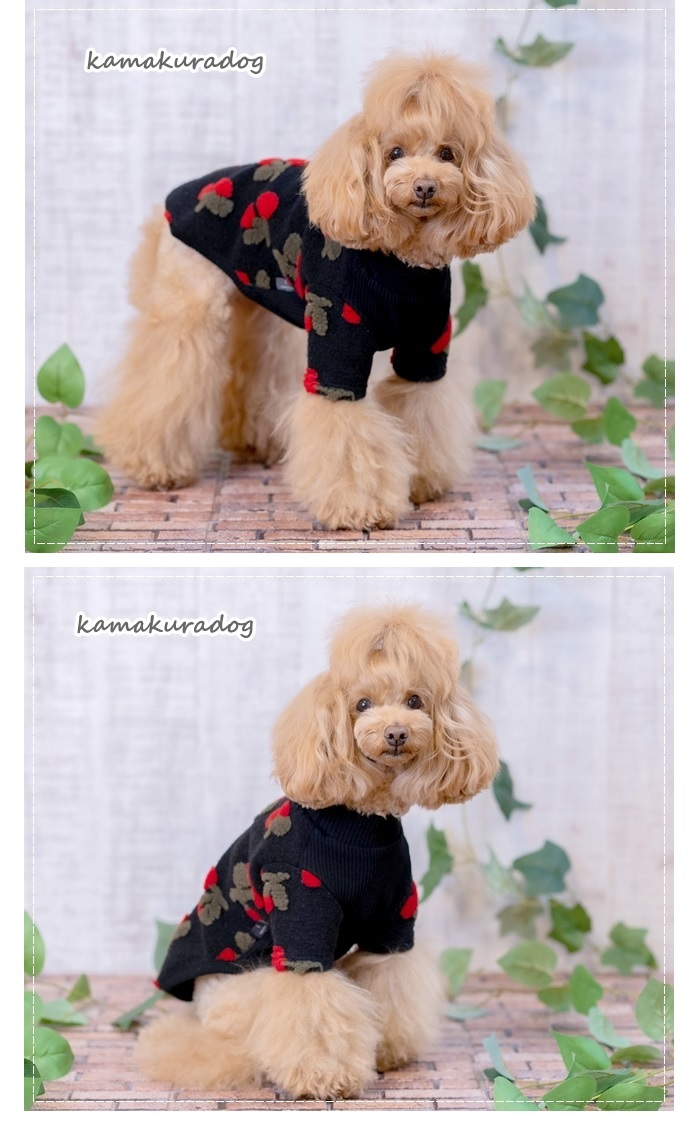 kamakuradog いちご＆サクランボアトップス 犬の服 : 鎌倉DOG
