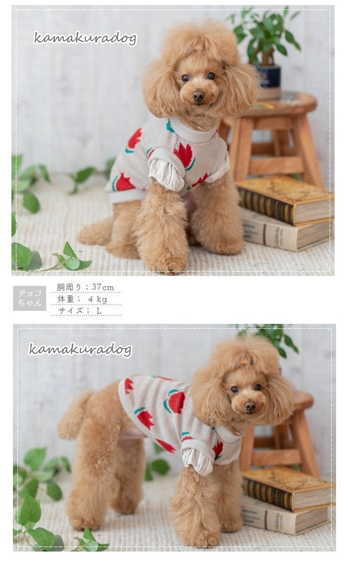 重ね着風チューリップニット 犬の服 :t986:鎌倉DOG Yahoo!店 - 通販 ...