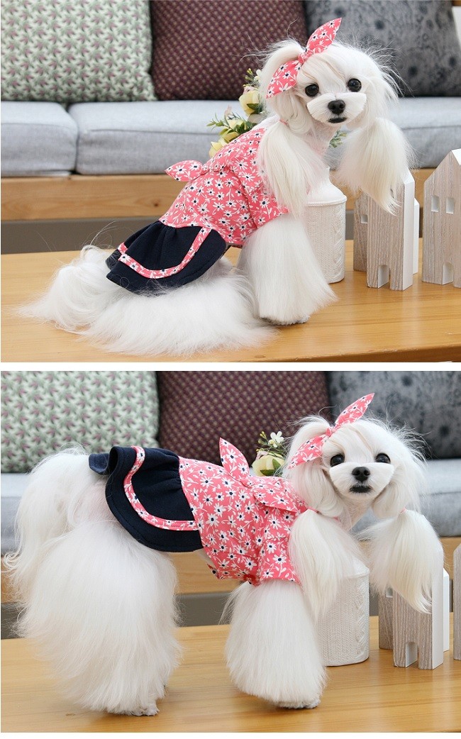 itdogs ワンピース イットドッグ 犬服 パピリーヒルズ  レア 花柄 kamakuradog 和小花柄ワンピース 犬の洋服 : 鎌倉DOG Yahoo!店
