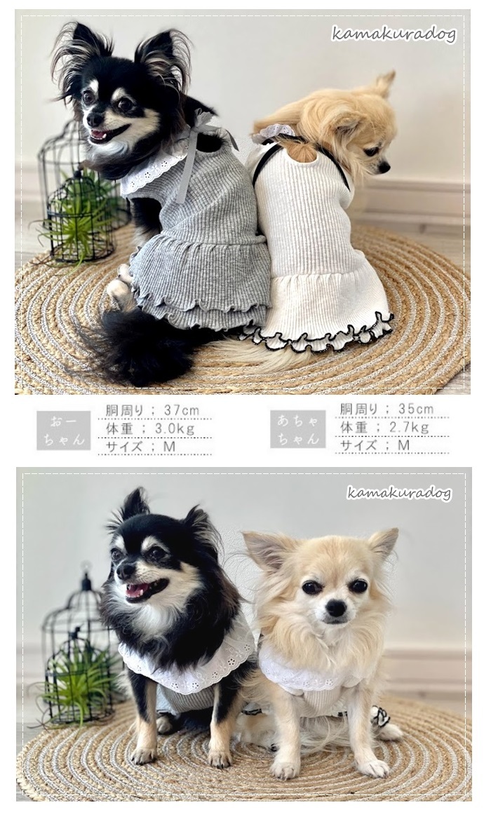 ロマンチックリブワンピース 犬の服 : w478 : 鎌倉DOG Yahoo!店 - 通販