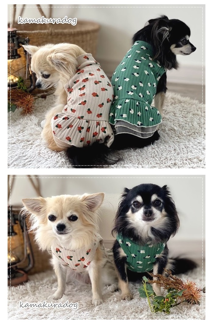 犬服　カメリア大柄　リップル　バルーンワンピース　二重お袖付き見本 kamakuradog カメリアワンピース 犬の服 : 鎌倉DOG Yahoo!店