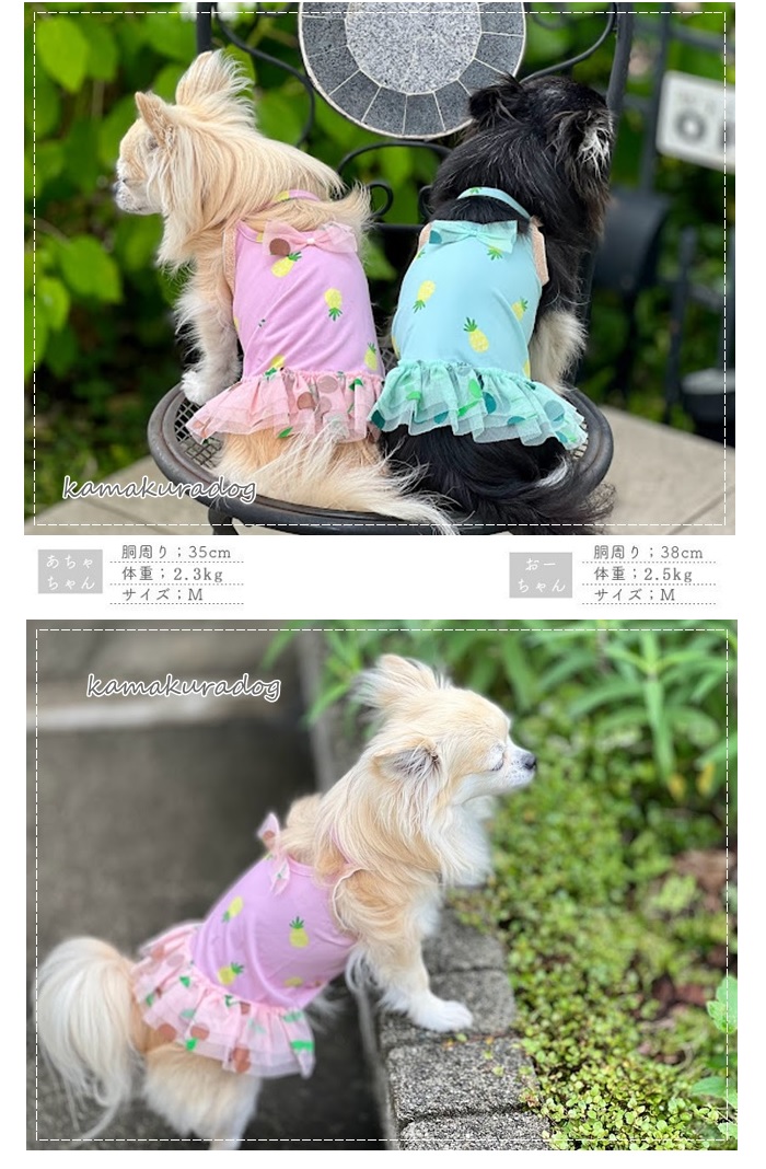 kamakuradog パインスイムウェア 犬の服 : 鎌倉DOG Yahoo!店