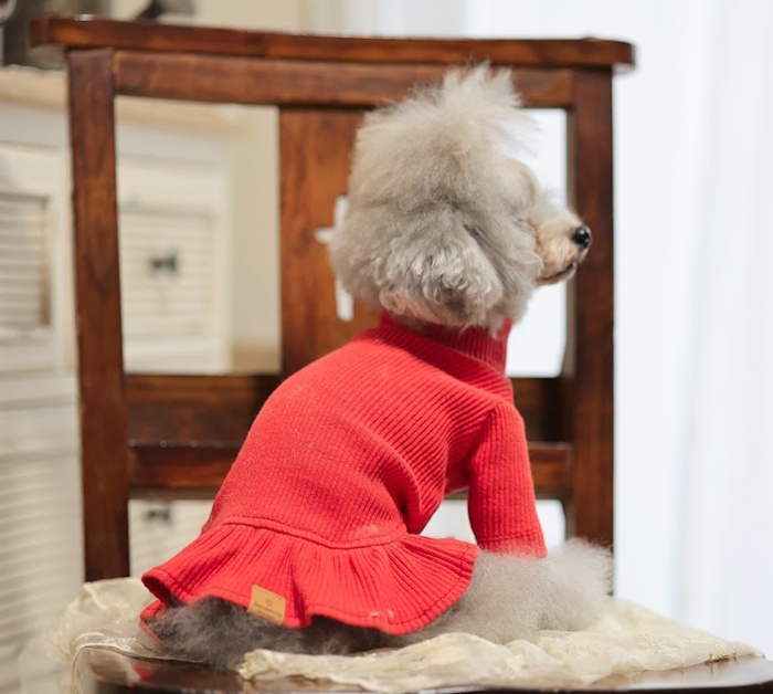 kamakuradog NEWハイネックワンピース 犬の服 : 鎌倉DOG Yahoo!店