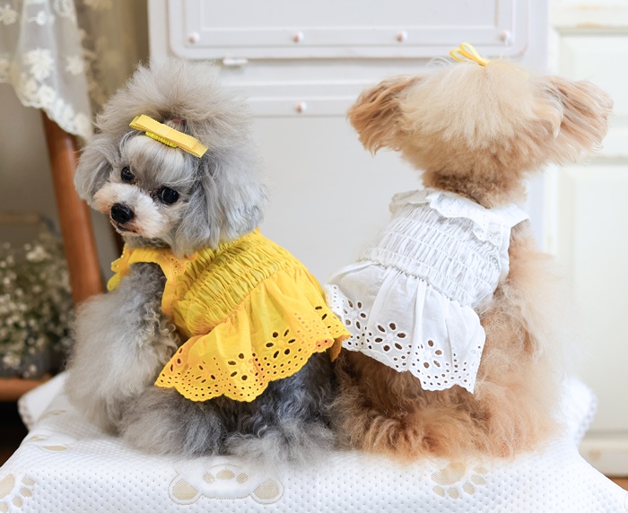 kamakuradog（鎌倉DOG） サニーレースワンピース・ヘアピン 犬の服