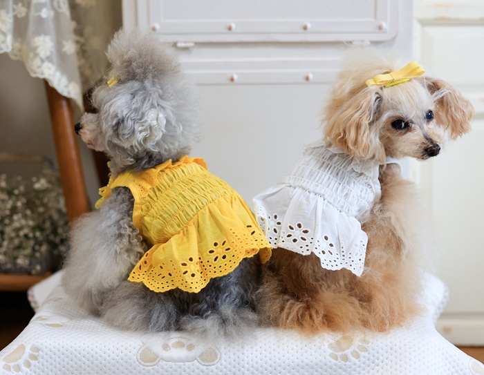 ☆犬服☆レースニットふんわりワンピースP. Sサイズ kamakuradog（鎌倉DOG） サニーレースワンピース・ヘアピン 犬の服
