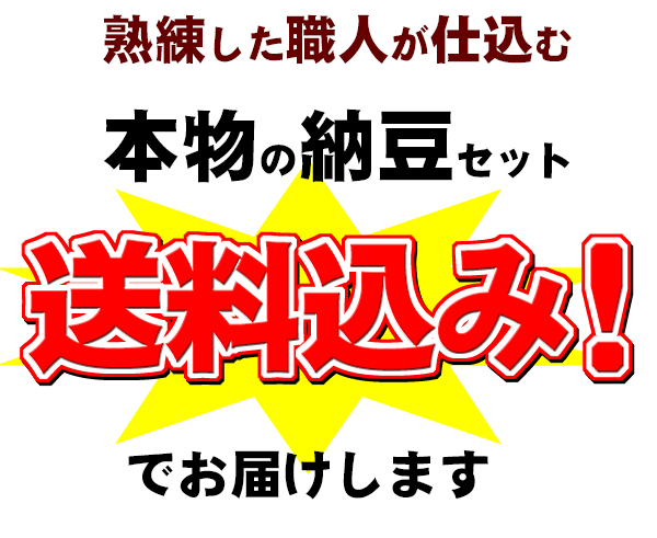 送料込み
