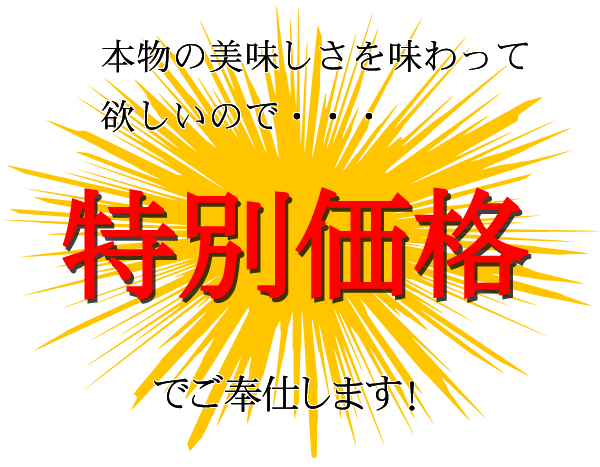 特別価格でご提供