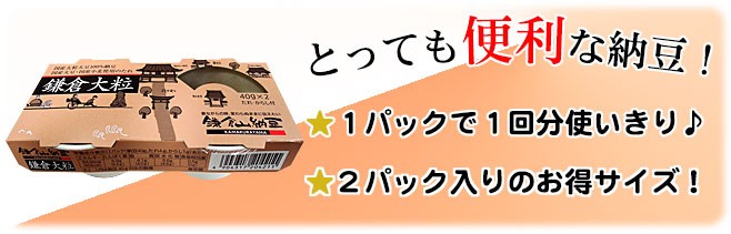 1パックで1回分使いきり。2パック入りのお得サイズ！