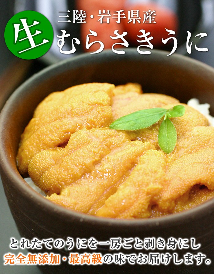 岩手県産むらさきうに