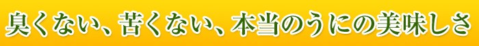 臭くない、苦くない、本当のウニの美味しさ
