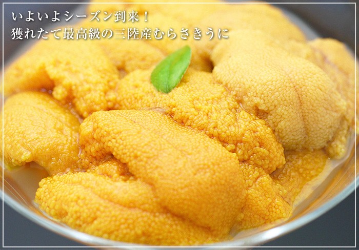 シーズン到来！三陸産むらさきうに