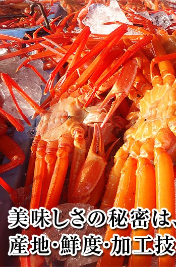 紅ズワイガニ