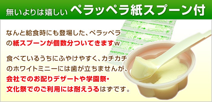 紙スプーン付き