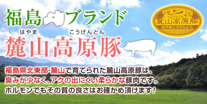 【福島ブランド麓山高原豚】福島県北東部・麓山で育てられた麓山高原豚は、臭みが少なく、アクの出にくい柔らかな豚肉です。ホルモンでもその質の良さはお確かめ頂けます！