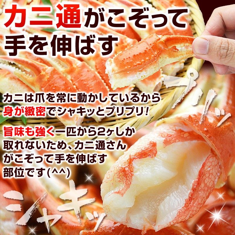 カニは爪を常に動かしているから身が緻密でシャキッとプリプリ!旨味も強く一匹から2ヶしか取れないため、カニ通さんがこぞって手を伸ばす部位です。