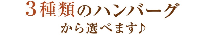 3種類のハンバーグから選べます♪