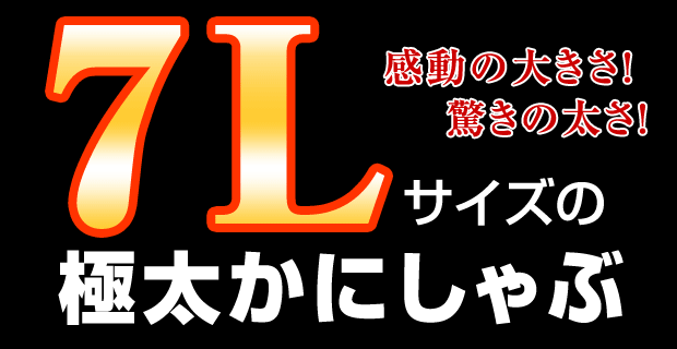 感動の大きさ！驚きの太さ！7Lサイズの極太かにしゃぶ