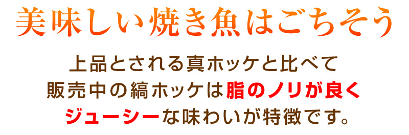美味しい焼き魚はごちそう！上品とされる真ホッケと比べて、販売中の縞ホッケは脂のノリが良く、ジューシーな味わいが特徴です。