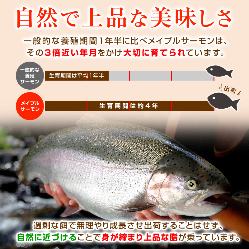一般的な養殖期間1年半に比べメイプルサーモンは、その3倍近い年月をかけ大切に育てられています。過剰な餌で無理やり成長させ出荷することはせず、自然に近づけることで身が締まり上品な脂が乗っています。